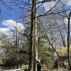 J Coletti & Sons Tree Service - Outside.