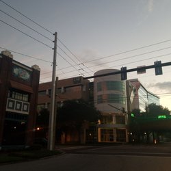 University of South Florida