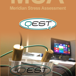 Holistic Wholebody - Meridian Stress Assessment / Bioenergetic testing