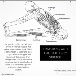 The Wellness Approach