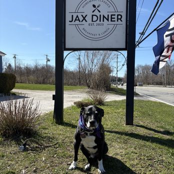 Jax Diner - Jax the dog at Jax Diner; Portsmouth, RI - Diners Near Me - Portsmouth, Rhode Island Jax Diner - Jax the dog at Jax Diner; Portsmouth, RI - Diners Near Me - Portsmouth, Rhode Island