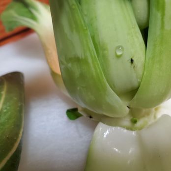 Westminster Superstore - Gnats and mites INSIDE Mixed veggieS - International Grocery Near Me - Westminster, California