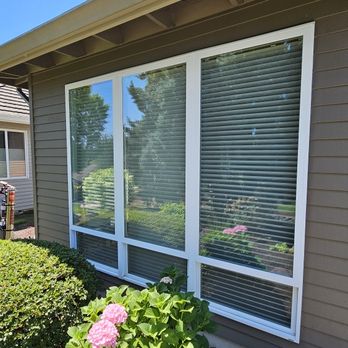 Singular Window Cleaning - Window Washing Near Me Singular Window Cleaning - Window Washing Near Me