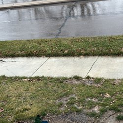 Thomas and Sons Tree & Mulch