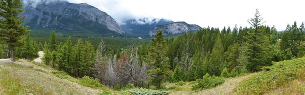 Tunnel Mountain Trail by null