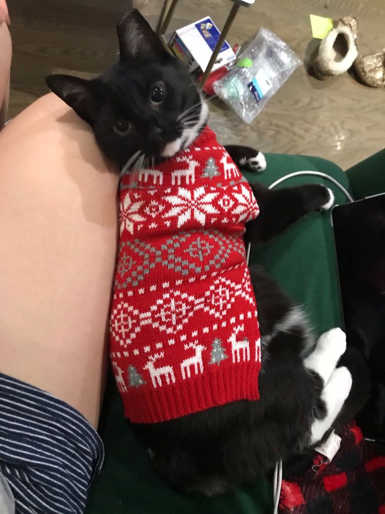 Manhattan Central Booking - social services organization in New York, NY