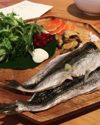 Seabird by null Seabird by null