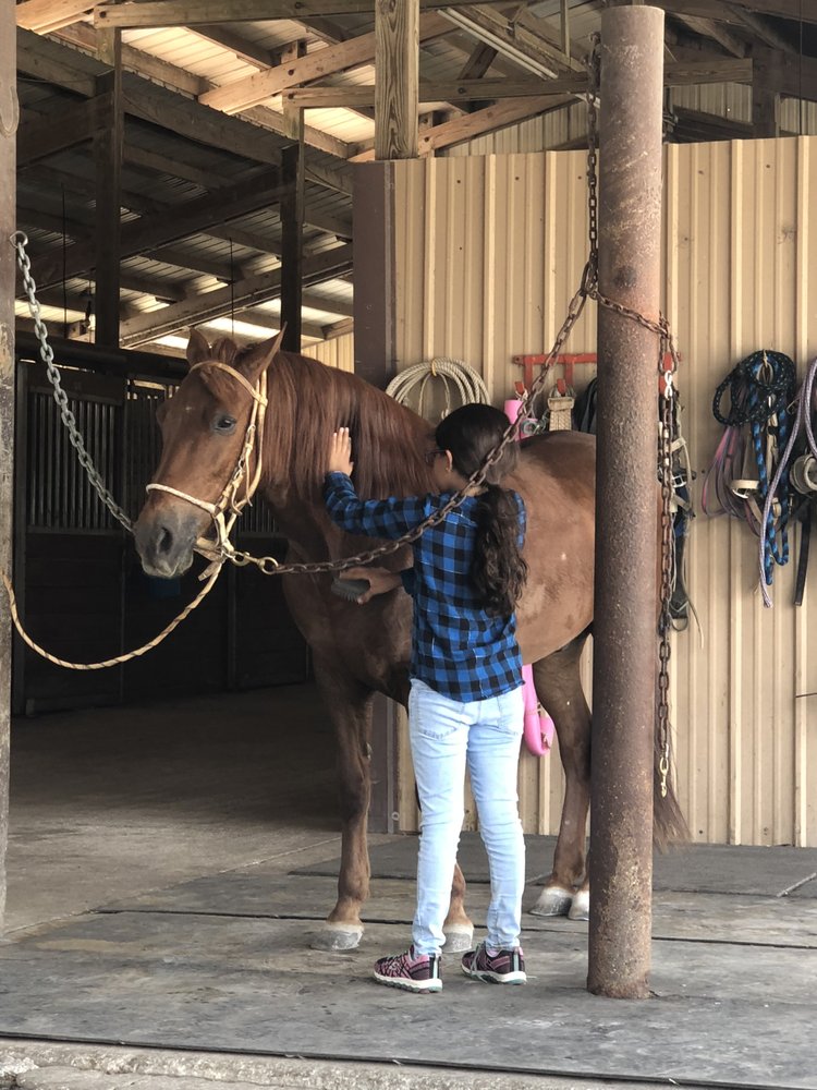 Davalos Health Services - grief counselor in Miami, FL