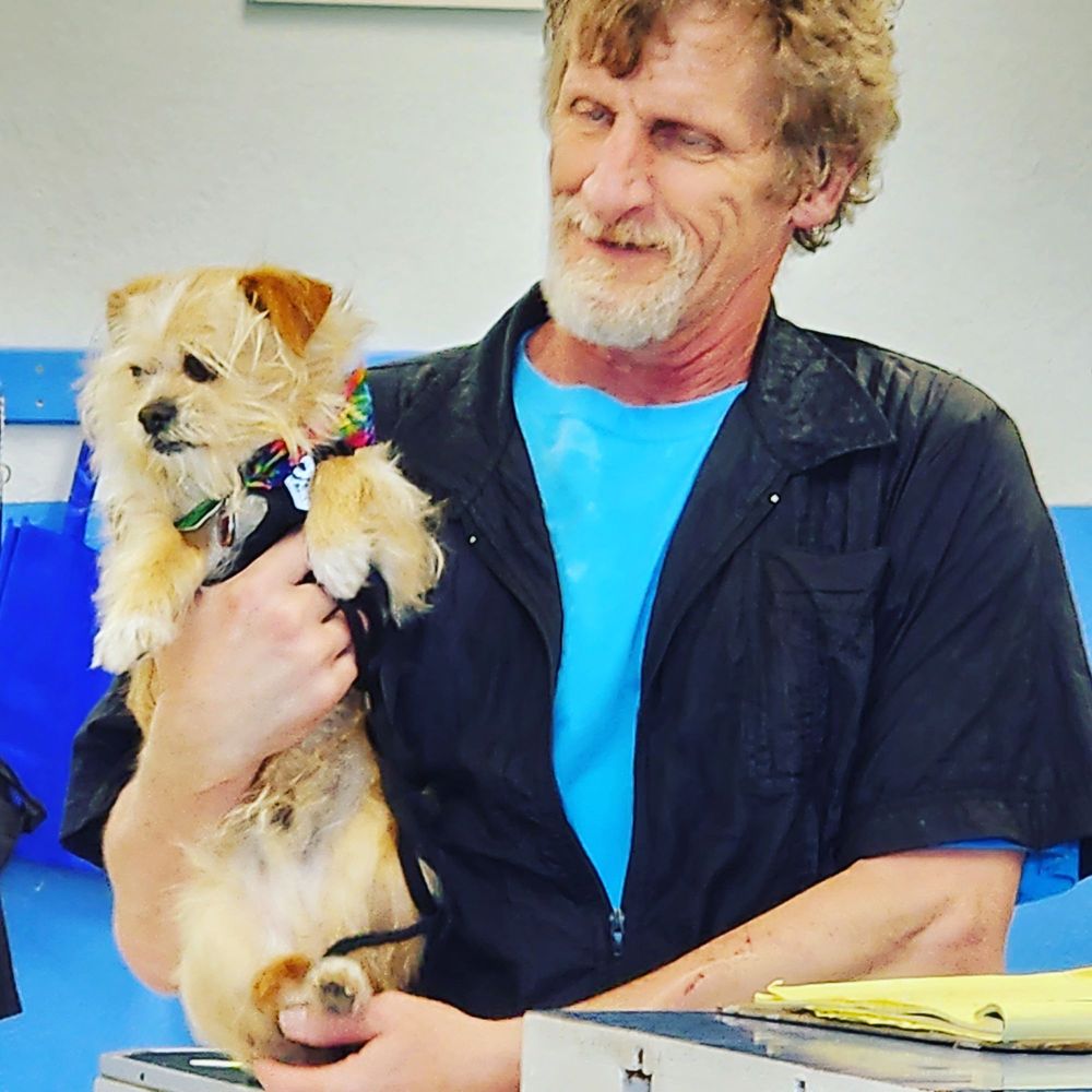 ALL ABOARD DOG GROOMING Updated September 2024 22 Photos & 48