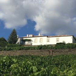 Casa de Casal de Loivos - The hotel from their vIneyard.
