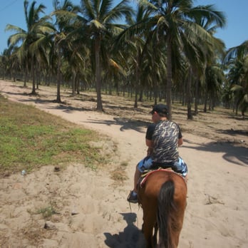 Stone Island - Horseback Riding Near Me Stone Island - Horseback Riding Near Me