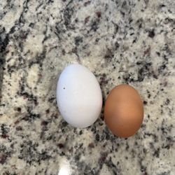 Pleasant Valley Farms - Pleasant Valley farm egg next to my organic store bought egg.