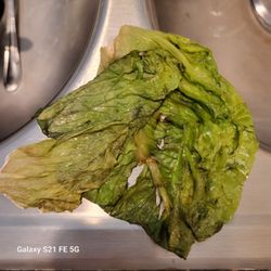 Pick n' Save - This is what was in the turkey & cranberry bread sandwich I bought!