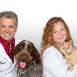Clinton Parkway Animal Hospital - CPAH was voted #1 in Best of Lawrence Award for 5 out of the 6 last years!