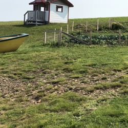 Canadian Parks & Wilderness Society - Bell Island
