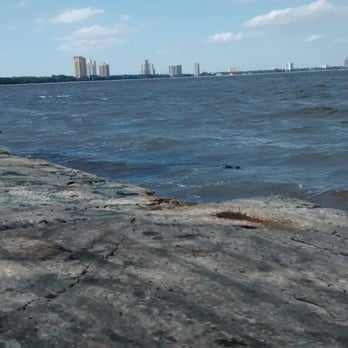 Ballast Point Park - Cement slab overlooking Tampa Bay. Secluded by shrubbery, a very nice spot. - Parks Near Me - Tampa, Florida