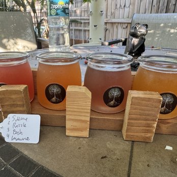Beech Kombucha - May 2025 Tasting - Kombucha Near Me - St. Petersburg, Florida