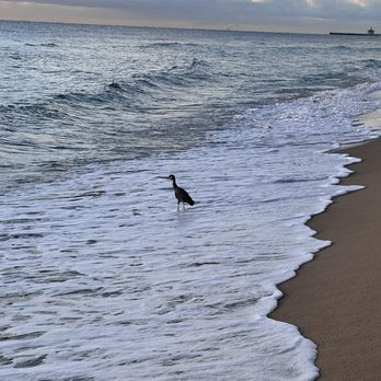 Eau Resort & Spa - Just south, about a 5 minute walk. - Resorts Near Me - Manalapan, Florida Eau Resort & Spa - Just south, about a 5 minute walk. - Resorts Near Me - Manalapan, Florida