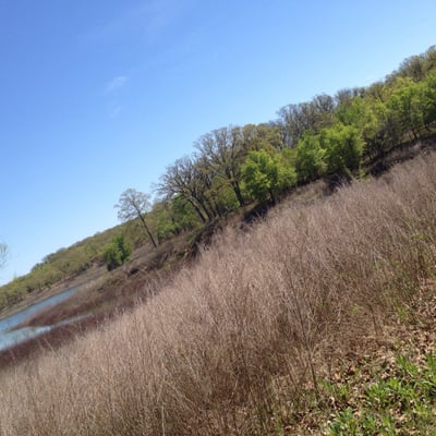 Lake Texoma State Park by null
