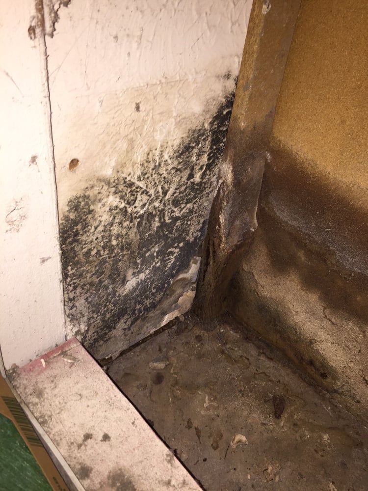 SCANDIA APARTMENTS Updated June 2024 19 Photos 401 Anderson St