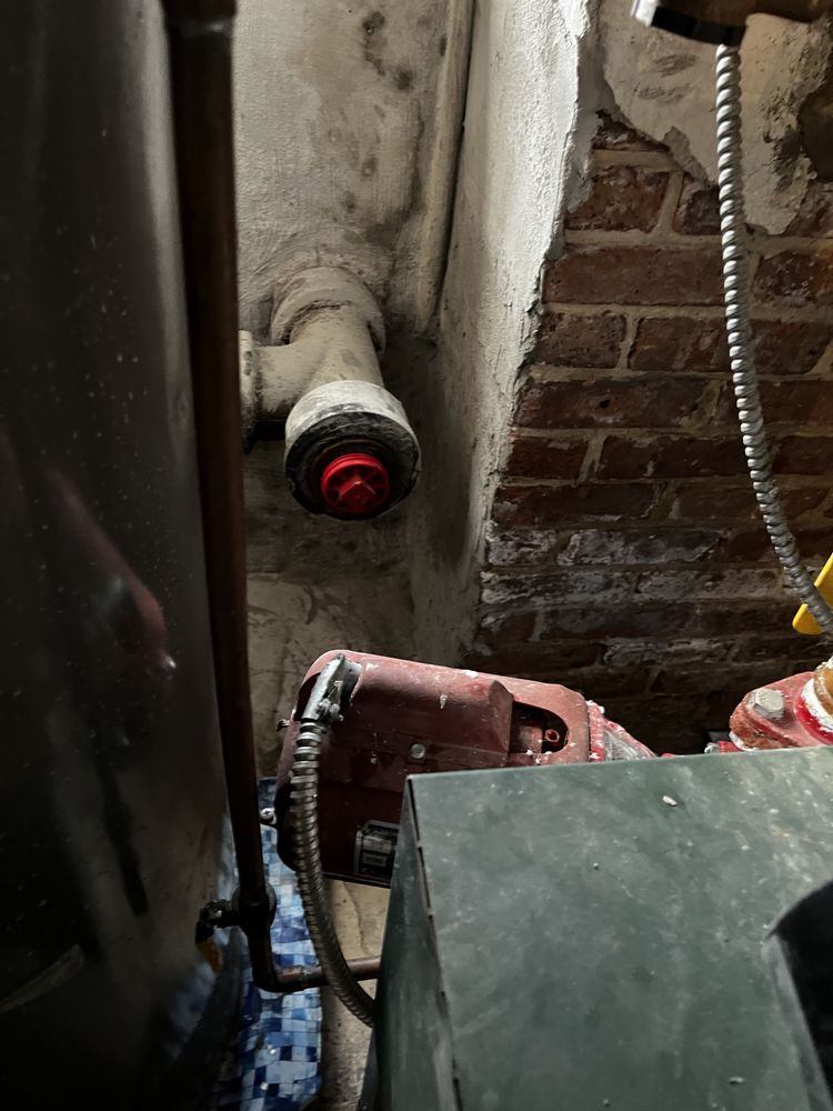 Slide of Superior Rooter