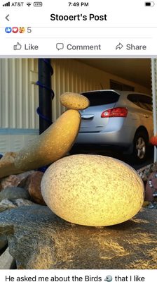 Ashland Hill by null