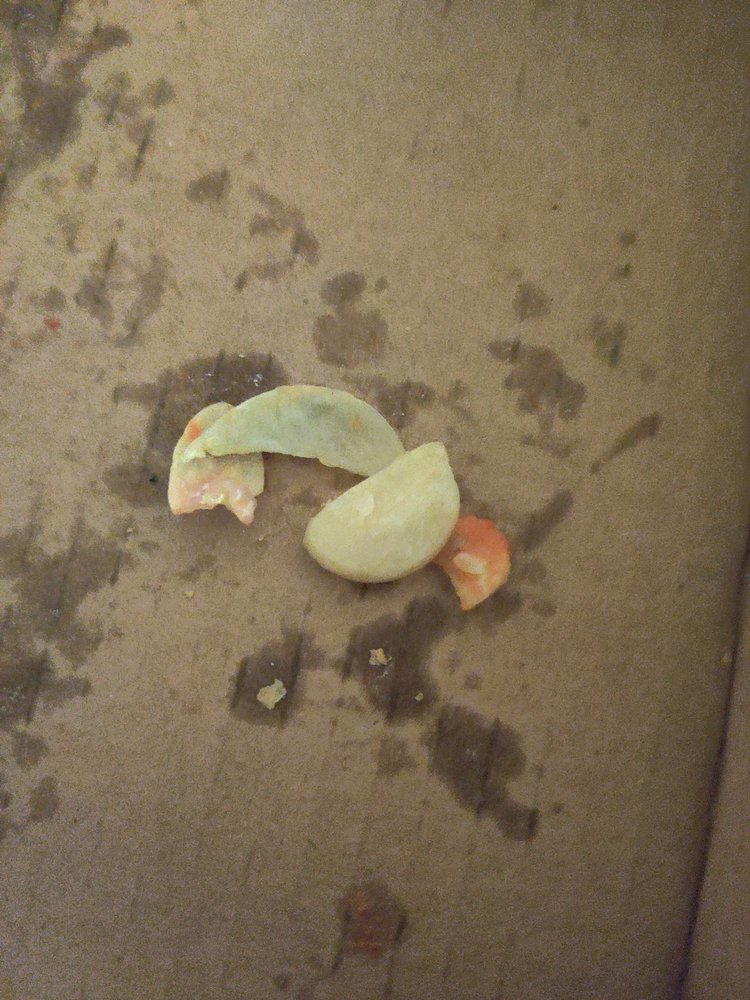 ROMA PIZZA & PASTA Updated August 2024 10 Photos & 28 Reviews