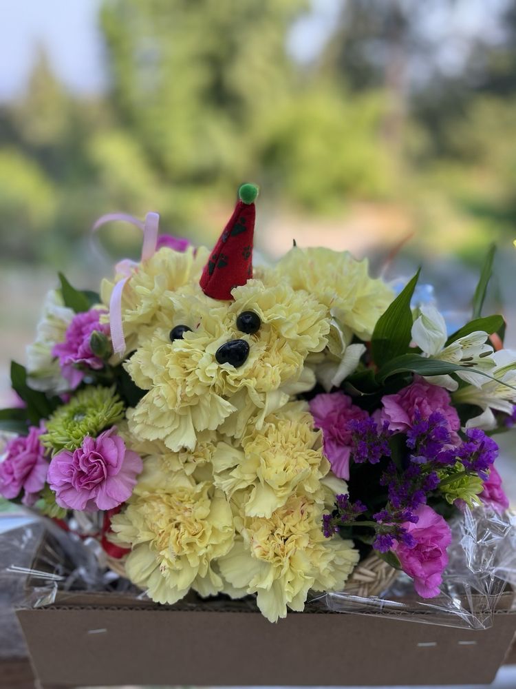 FRAN’S FLOWERS - Updated February 2026 - 46 Photos & 59 Reviews - 19247 ...