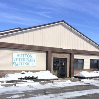Sutton Veterinary Clinic - Veterinarians Near Me - Brookings, South Dakota Sutton Veterinary Clinic - Veterinarians Near Me - Brookings, South Dakota