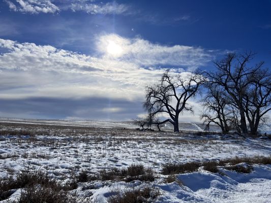 Rocky Mountain Arsenal National Wildlife Refuge by null