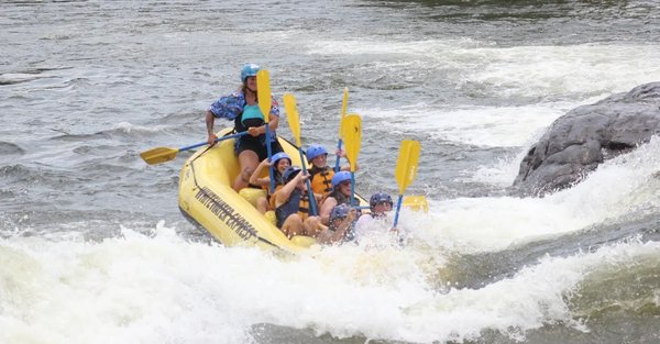 Whitewater Express by null