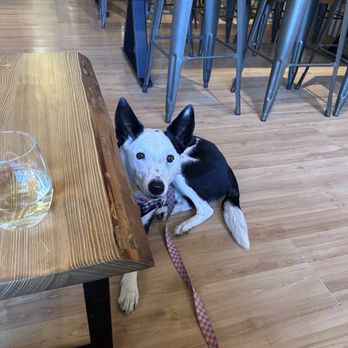 Barrel 33 - Wine Tasting Room Near Me - Big Bear Lake, California Barrel 33 - Wine Tasting Room Near Me - Big Bear Lake, California