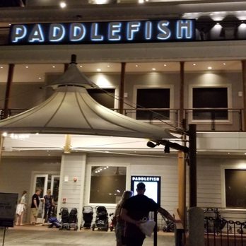 Paddlefish - Ready to enjoy the ambiance - Seafood Near Me - Orlando, Florida Paddlefish - Ready to enjoy the ambiance - Seafood Near Me - Orlando, Florida
