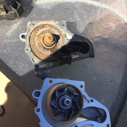 $25 dollar water pump so fresh and clean. $25 dollar water pump so fresh and clean.