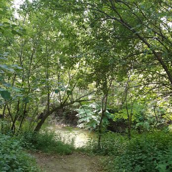 East Don Parkland - Another trail in the East Don Parkland. Lots of bird sounds. - Parks Near Me - Toronto, Ontario East Don Parkland - Another trail in the East Don Parkland. Lots of bird sounds. - Parks Near Me - Toronto, Ontario