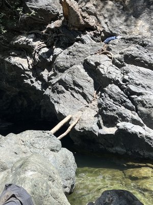 Salmon Creek Falls by null