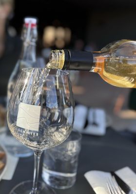 Los Milics Vineyards by null