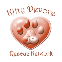 Kitty Devore Rescue - KD is a nonprofit (501(c)(3) RESCUE GROUP dedicated to the rescue, rehabilitation and rehoming of the cats of Devore Shelter.