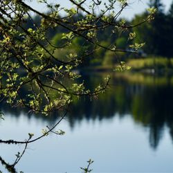 Wanschers Park - Hicks Lake