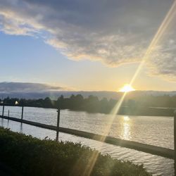McKinley's Marina & RV Park - RV sites with water views