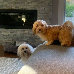 Teddy & Oscar