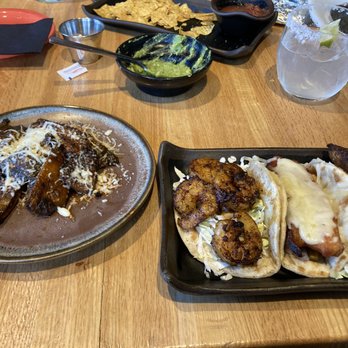 Malo - Portabella mushrooms, shrimp taco, pork belly taco, mahi mahi taco, margarita - Latin American Near Me - Des Moines, Iowa Malo - Portabella mushrooms, shrimp taco, pork belly taco, mahi mahi taco, margarita - Latin American Near Me - Des Moines, Iowa