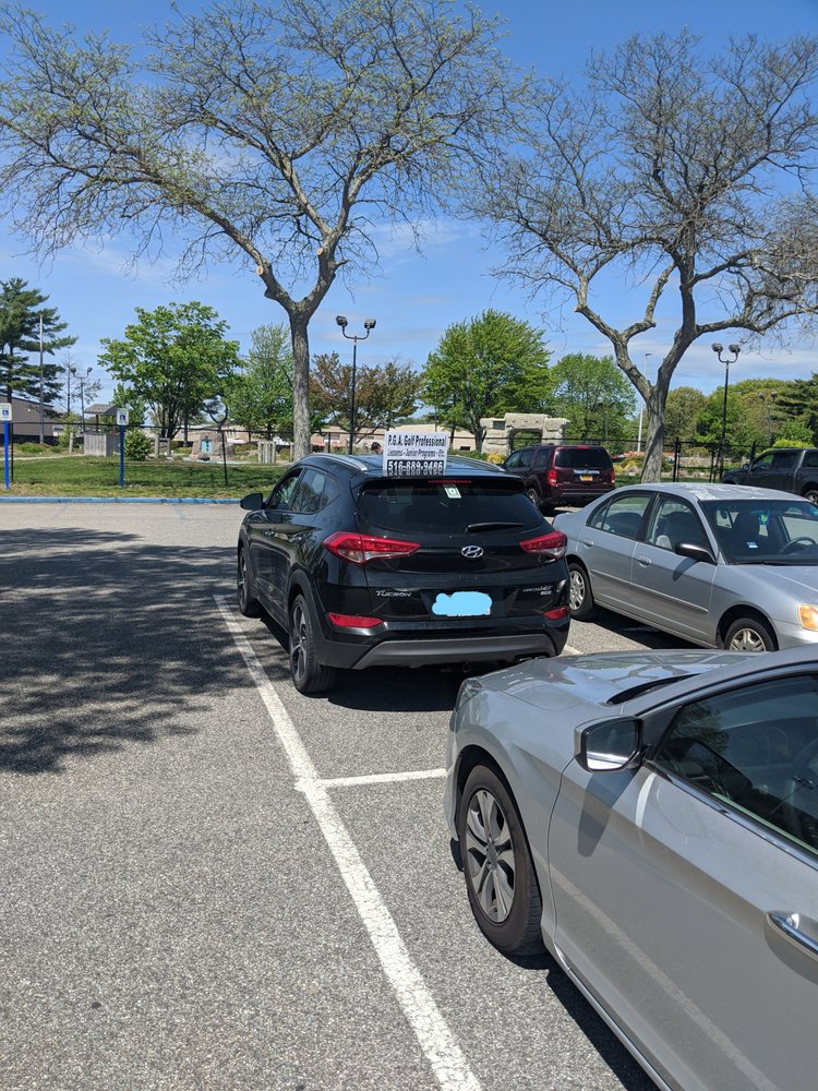 Lou Pga Professional Logo