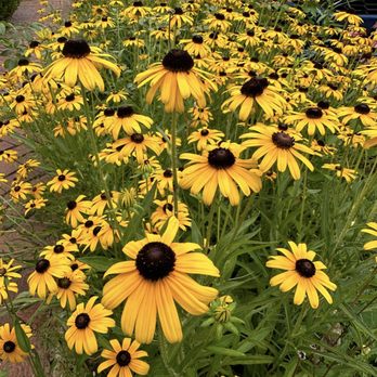 Avalon Cafe - Flowers in front of the restaurant - New American Near Me - Weston, Missouri