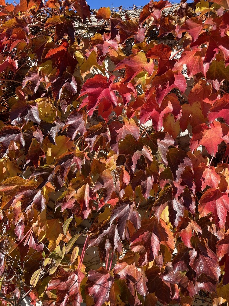 The Riverwood Conservancy Image