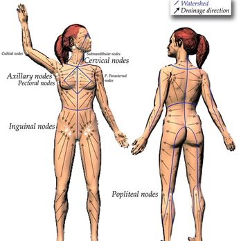 Silicon Valley Bodywork - Physical Therapy Near Me - Santa Cruz, California Silicon Valley Bodywork - Physical Therapy Near Me - Santa Cruz, California