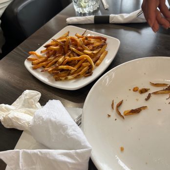 Brick House Diner - Overcooked fries - Seafood Near Me - Virginia Beach, Virginia