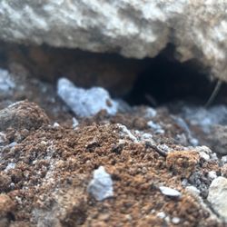 Infinite Pools - Hollow underneath the concrete , it was not compacted correctly after the second time