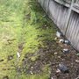 Photo of New Day Landscaping