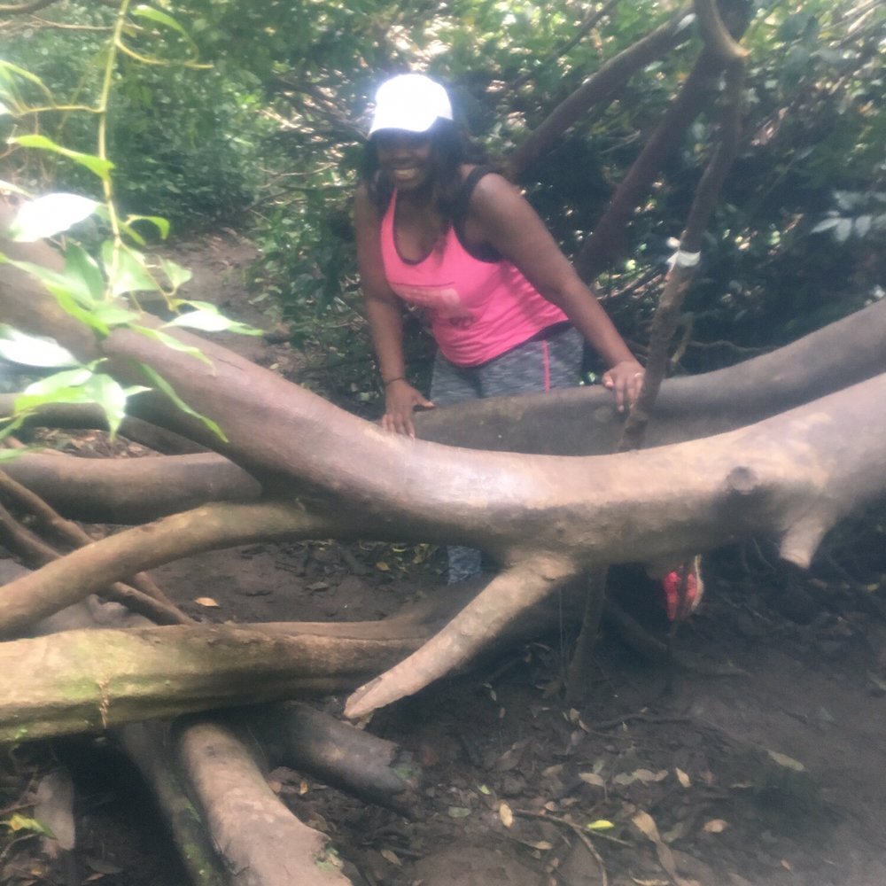 Lulumahu Falls - Climbing over and under these tree limbs - Hiking Near Me - Honolulu, Hawaii
